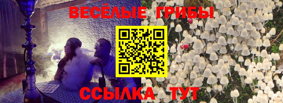Коммунар  Псилоцибиновые грибы мицелий  Вход с VPN 